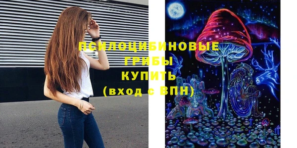крисы Костерёво