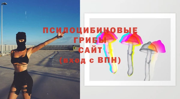 прущие крисы Аркадак