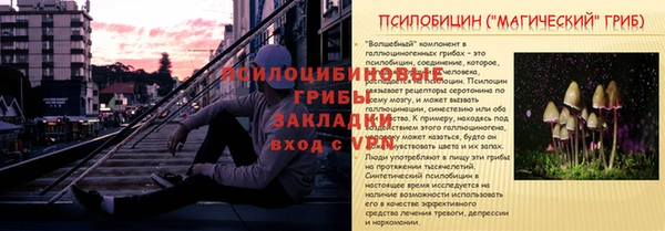 прущие крисы Аркадак